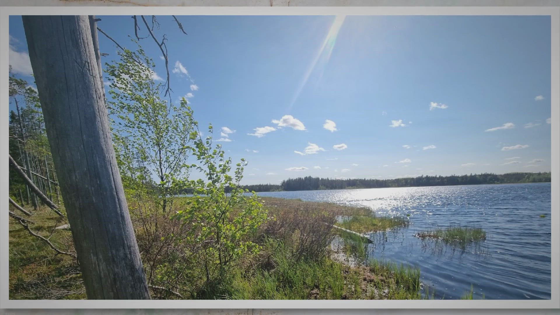 Video thumbnail for Digital Detox Method: Walking in the forest at Grössjöns Naturreservat, Sweden