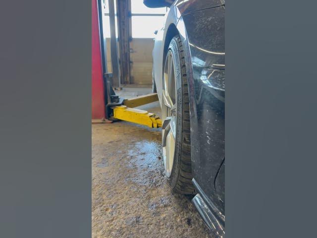 Video thumbnail for Subscribe for a surprise 😮👍 #shortsfeed #shorts #subscribeforacookie #roadto800subs