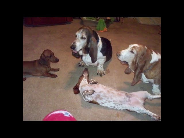 Video thumbnail for My Movie