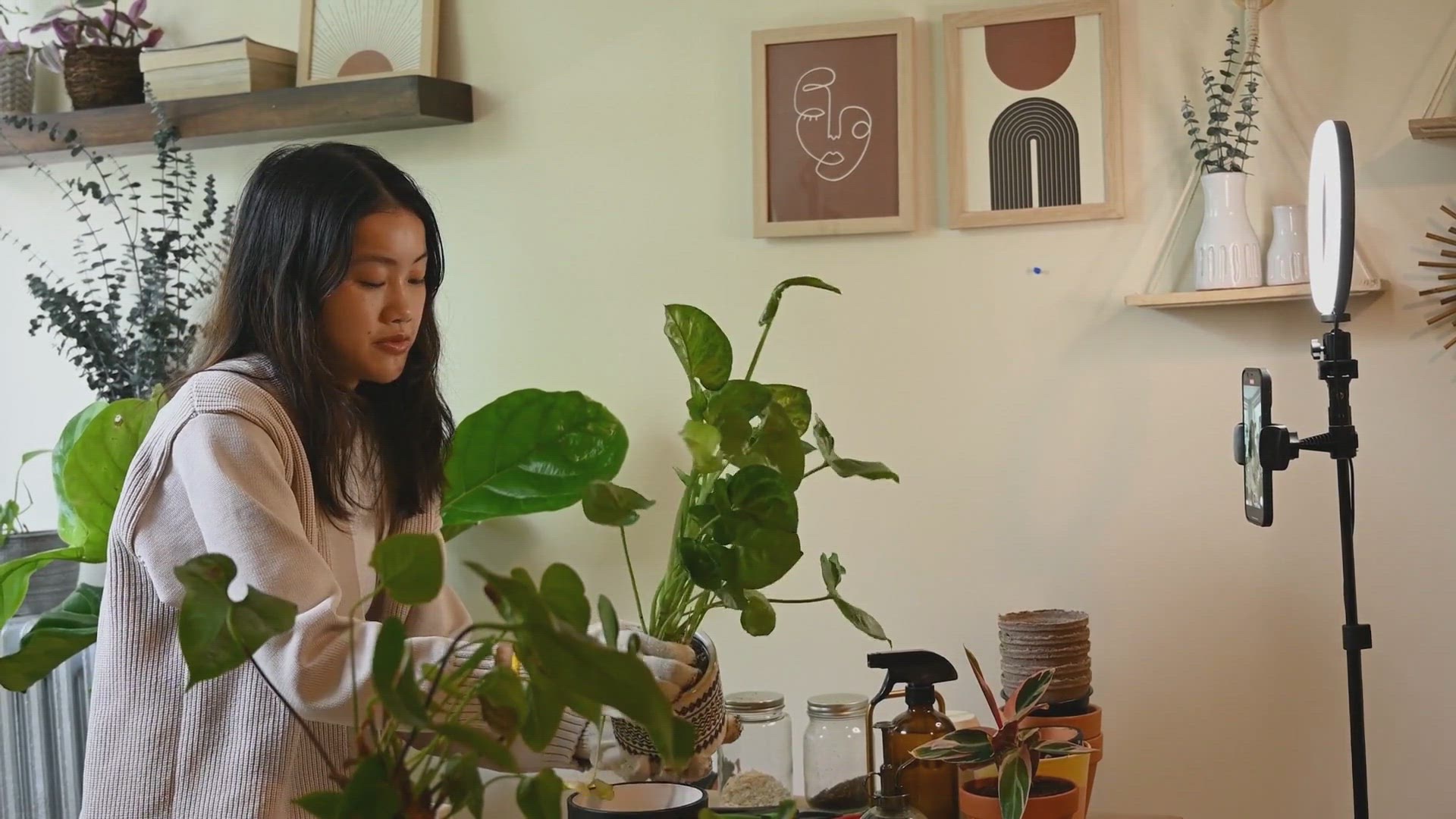 'Video thumbnail for Fiddle Leaf Fig Light Secrets: Tips to Ensure Proper Growth'
