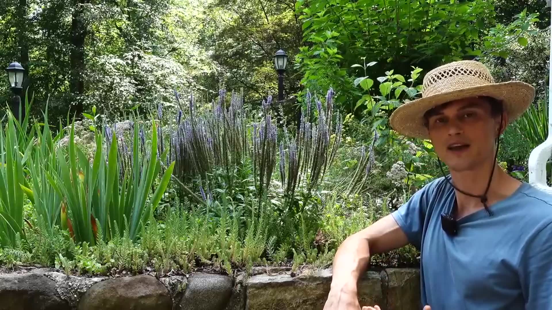 'Video thumbnail for SPEEDWELL VERONICA - 3 Ways to Deadhead Old Flowers for Quick Reblooming'