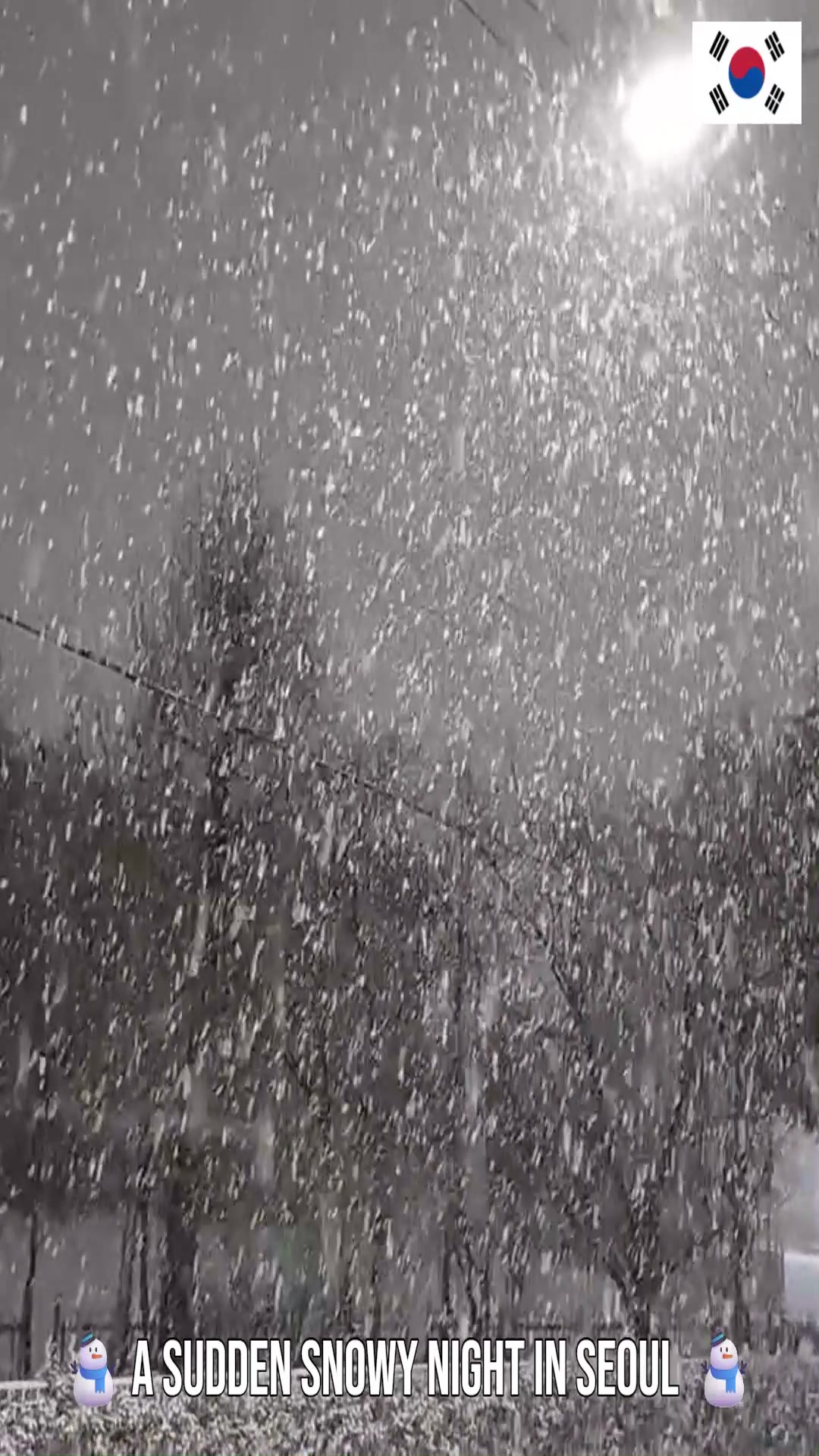 Video thumbnail for 🌨️ Surprise Snowfall! Seoul Turned White Overnight on January 23, 2026 ❄️✨