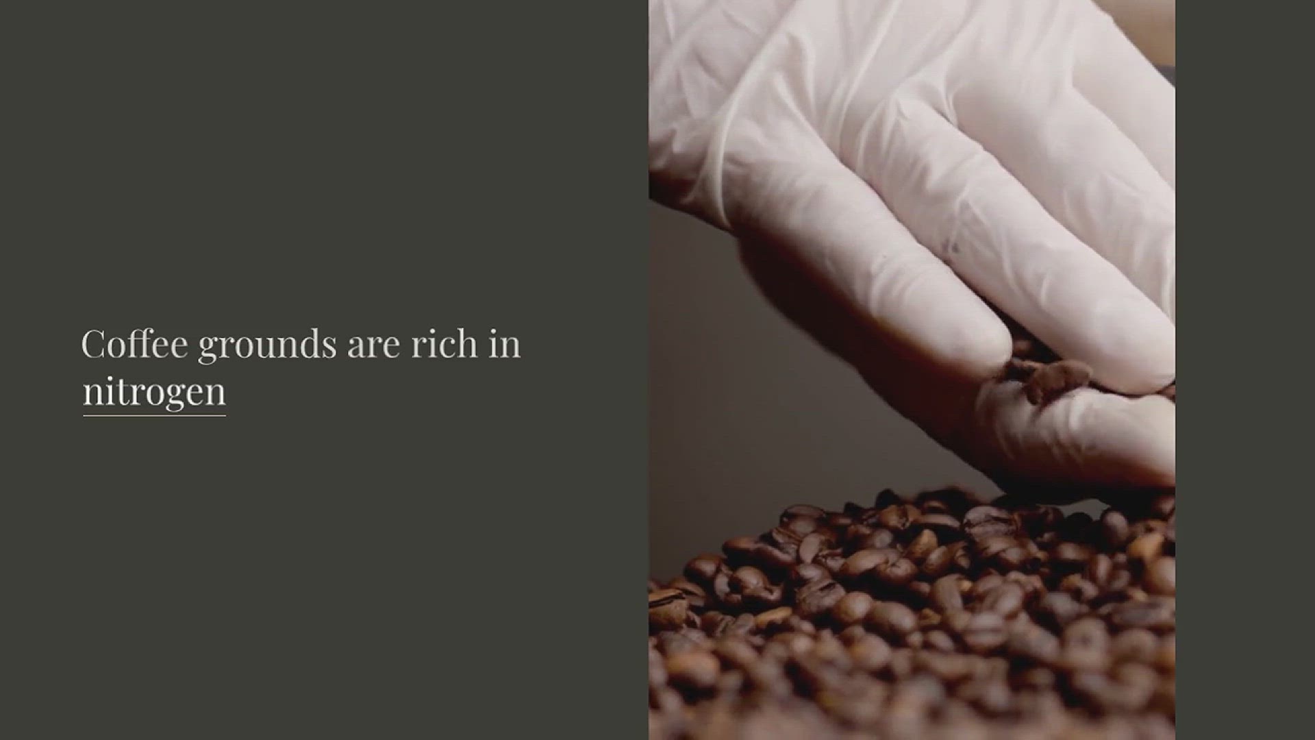'Video thumbnail for How to Compost Coffee Grounds in the Garden'