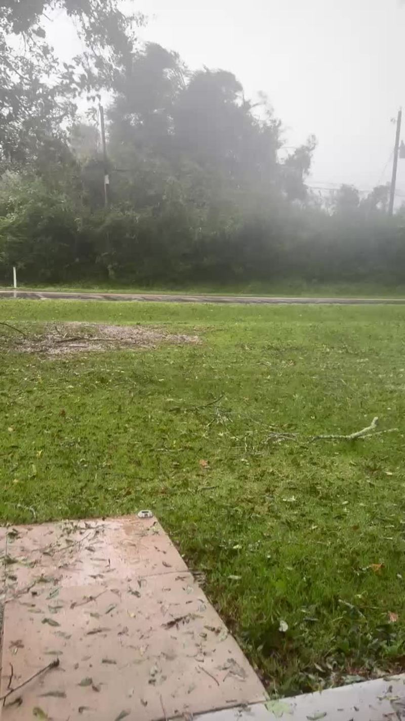 Video thumbnail for Massive Tree Crashes Down during Hurricane in Cantonment Florida