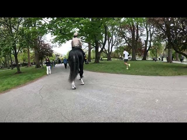'Video thumbnail for Inside Look at Park Ranger Horse in Majestic Boston Public Garden: Urban Parks'