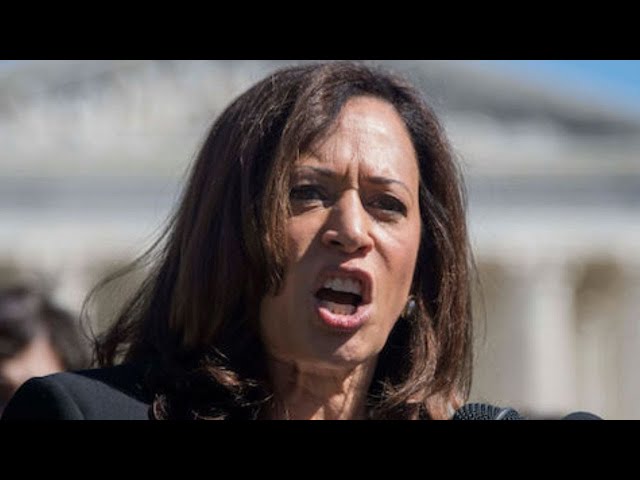 Video thumbnail for Kamala Harris Loses It During Rally - Absolute Meltdown