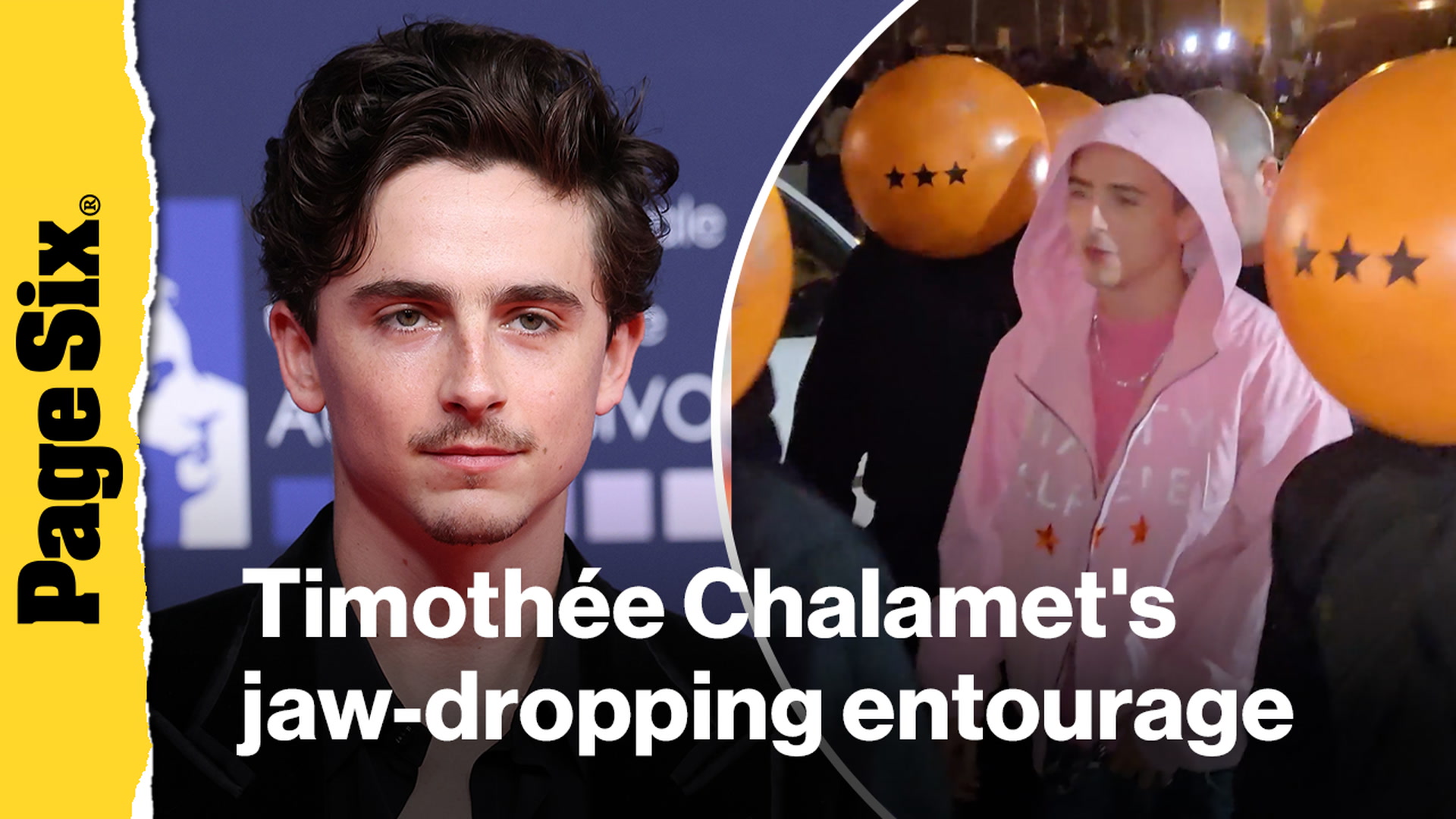 Video thumbnail for See Timothée Chalamet's jaw-dropping entourage for 'Marty Supreme' event