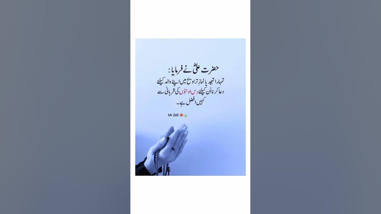 Video thumbnail for beshak ❤️#religion #islamicvideo #islam #islamicsshorts #qurancover #2k24 #daroodsharif