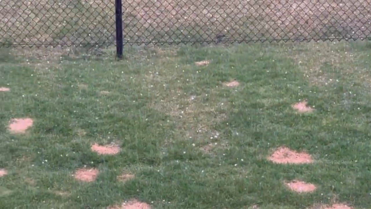 Video thumbnail for Hailstorm impacts Oswego, Illinois, leaving significant damage in yards