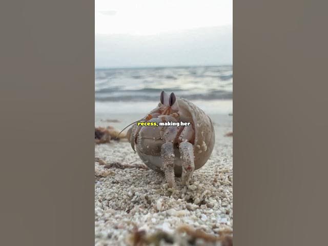 Video thumbnail for My Mom Thinks My Daughter Is Too Boyish 🥺 #redditstories #aitareddit