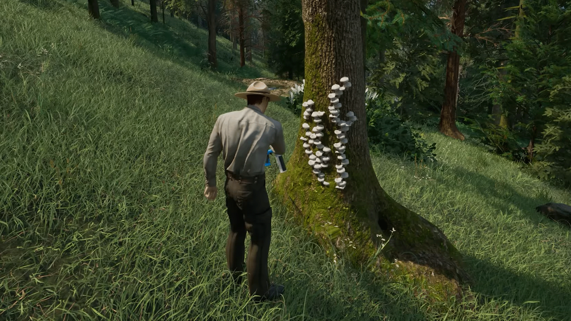 Video thumbnail for Ranger's Path: National Park Simulator - Official Early Access Update 2 Launch Trailer