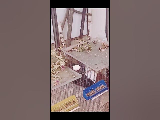 Video thumbnail for ١٧ أكتوبر ٢٠٢٥