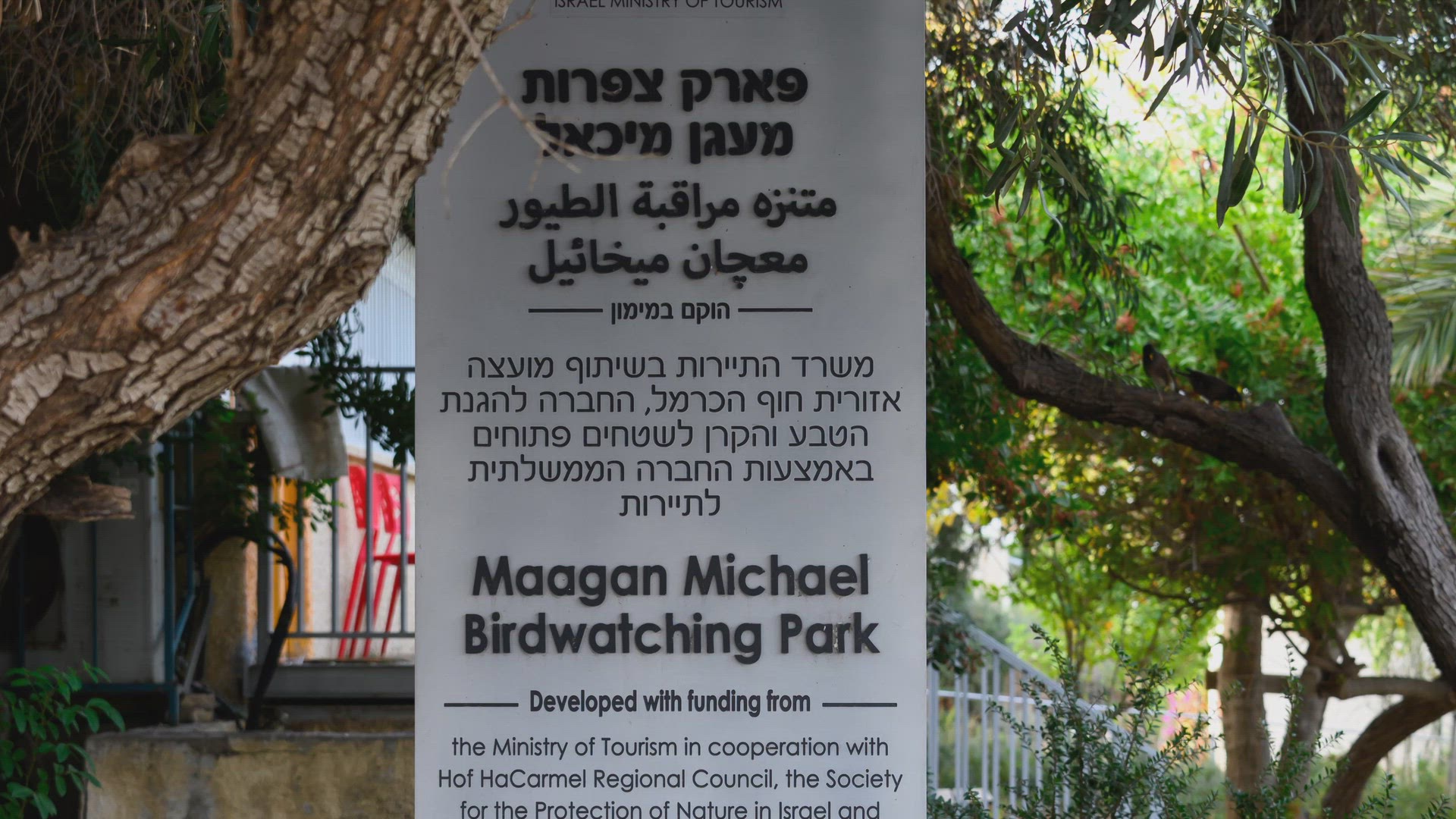 Video thumbnail for Maagan Michael Birdwatching Park