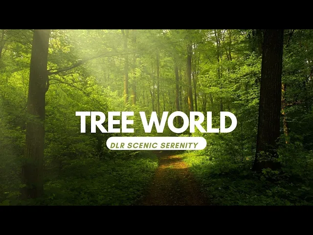 Video thumbnail for Nature || Tree Leaf || Leaf || Tree || Photographs