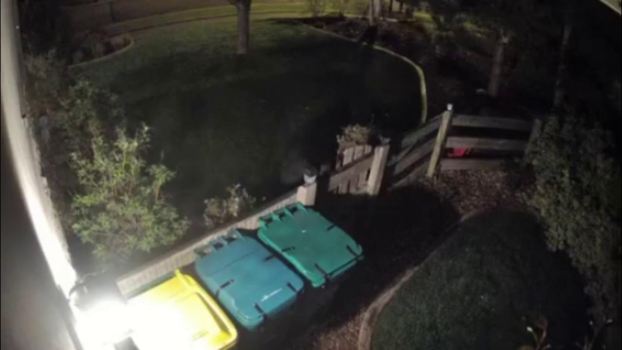 Video thumbnail for US: Bear Wrestles With Trash Cans Outside Colorado Home But Fails To Get Inside.