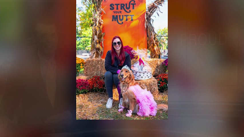 Video thumbnail for Jersey Proud: Strut your mutt parade returns to Newark