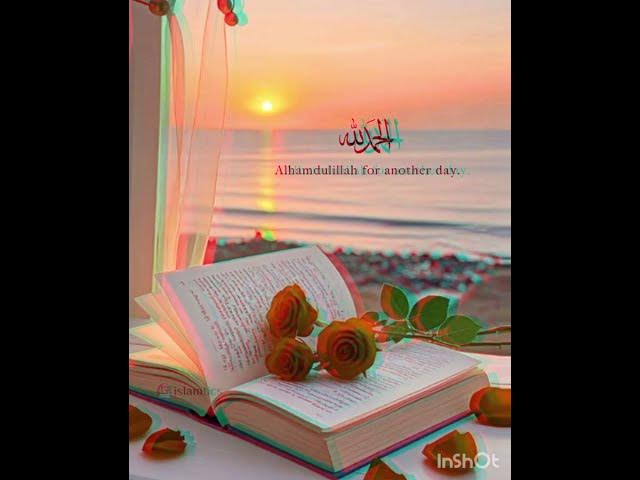 Video thumbnail for #IslamicPost#IslamicDesign#IslamicArt#GreenAndGold#RamadanVibes