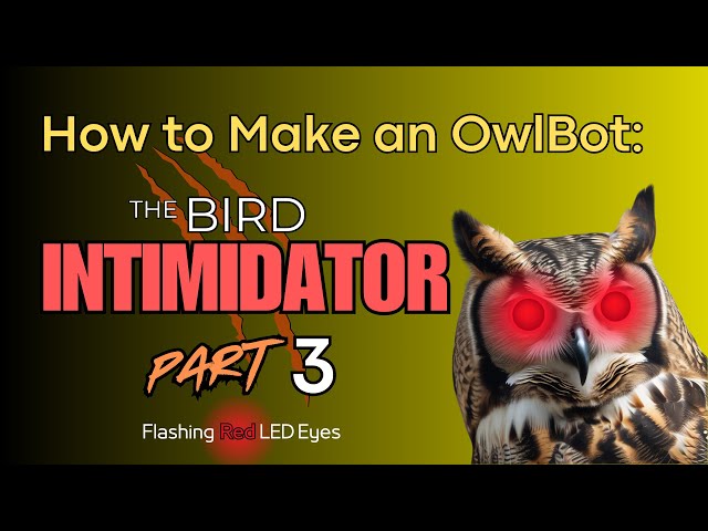 Video thumbnail for How to Make an OwlBot: The Bird Intimidator - Part 3: Flashing Red LED Eyes