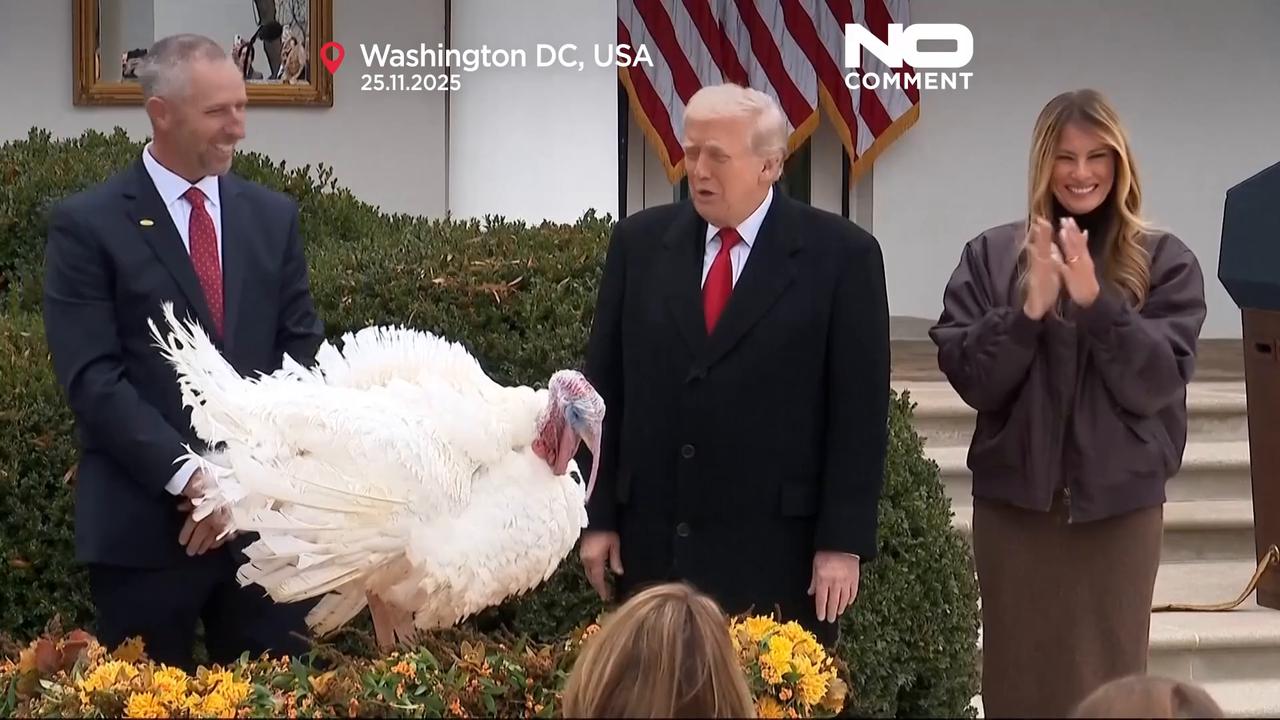 Video thumbnail for Trump pardons Thanksgiving turkeys Waddle and Gobble in annual tradition