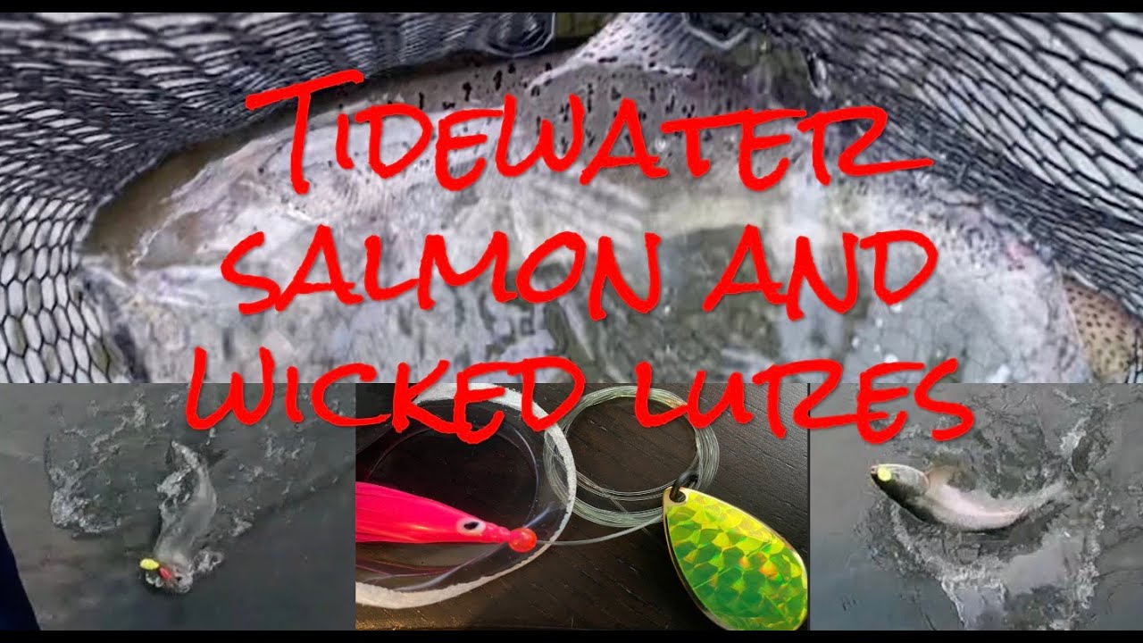 Video thumbnail for Fishing tidewater SALMON with WICKED lures!