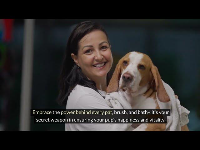 Video thumbnail for The Dog House Grooming: Unleashing the Secrets to a Happy, Healthy Pup