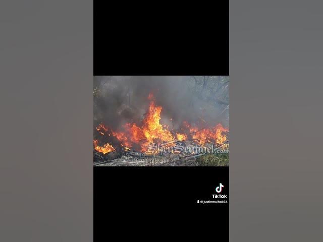 Video thumbnail for Fire calls