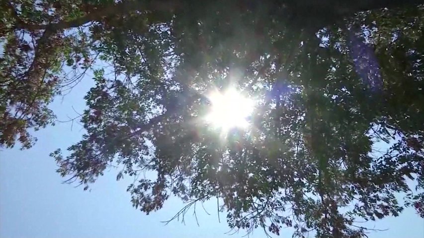 Video thumbnail for Dangerous heat grips Hudson Valley as doctors urge residents to take precautions