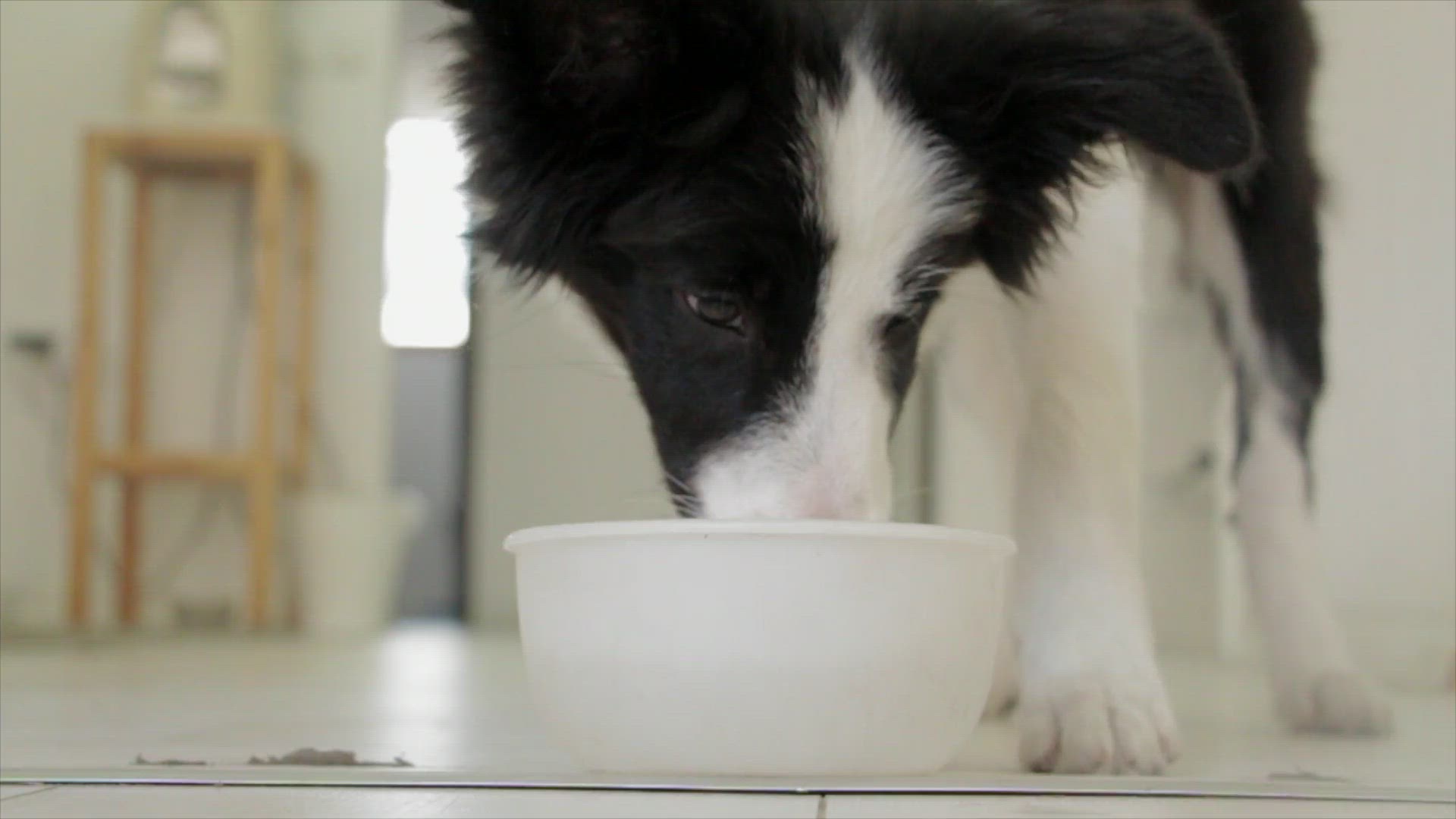 Video thumbnail for fruit