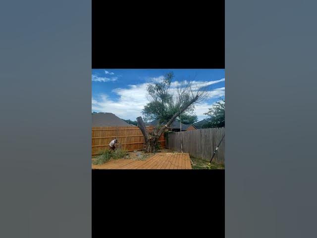 Video thumbnail for stihl the one