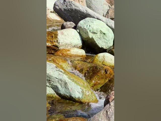 Video thumbnail for #foryou