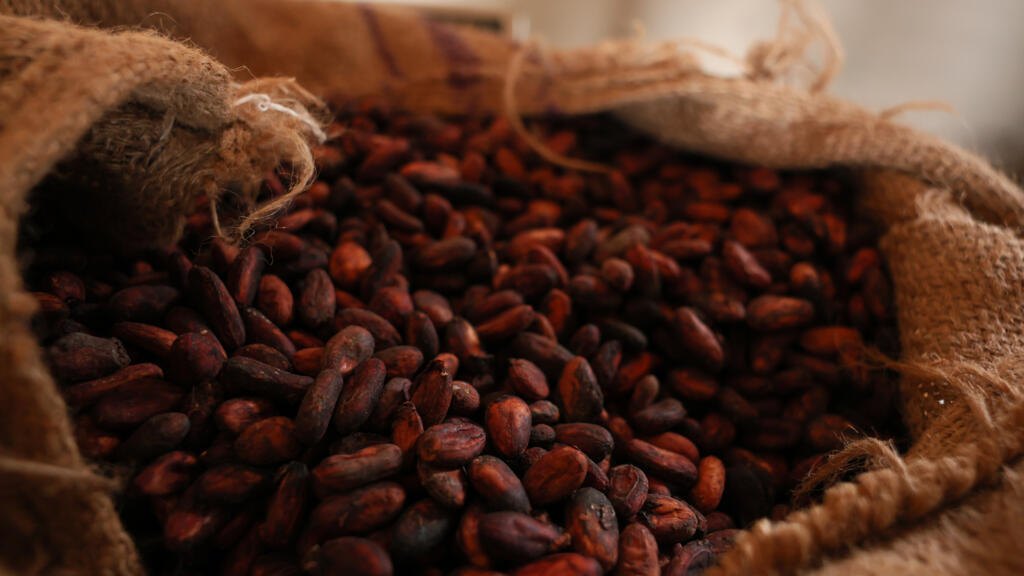 Video thumbnail for Ghana's cocoa farmers at risk of 20-year prison sentence under new legislation