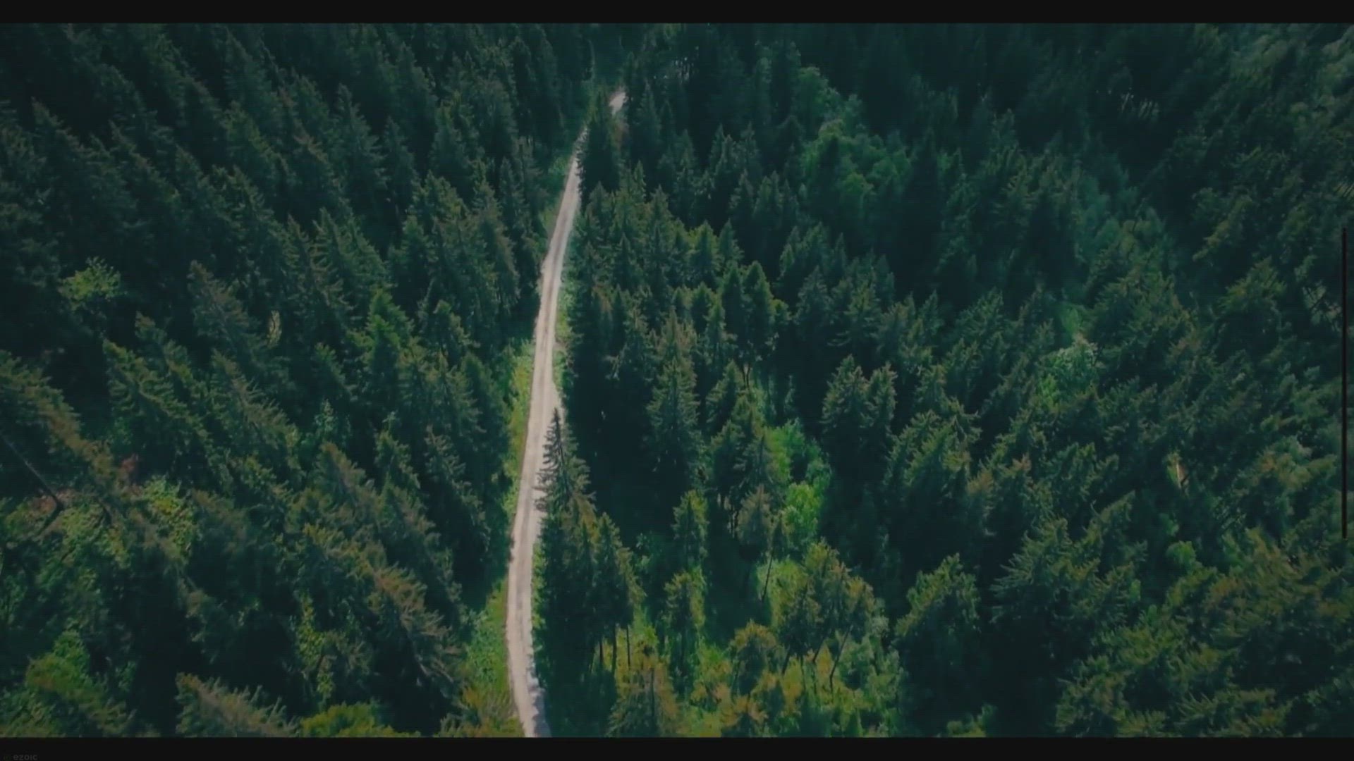 Video thumbnail for Journey Through the Enchanting Black Forest: Unveiling Majestic Landscapes, Charming Cities, and Magical Experiences