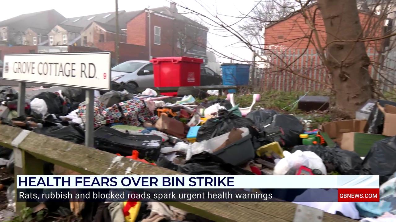 Video thumbnail for WATCH: Expert says rats are 'breeding freely' in Birmingham as bin strikes continue