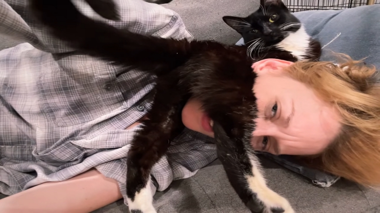 Video thumbnail for Cat Moves After Lying on Owner’s Face!