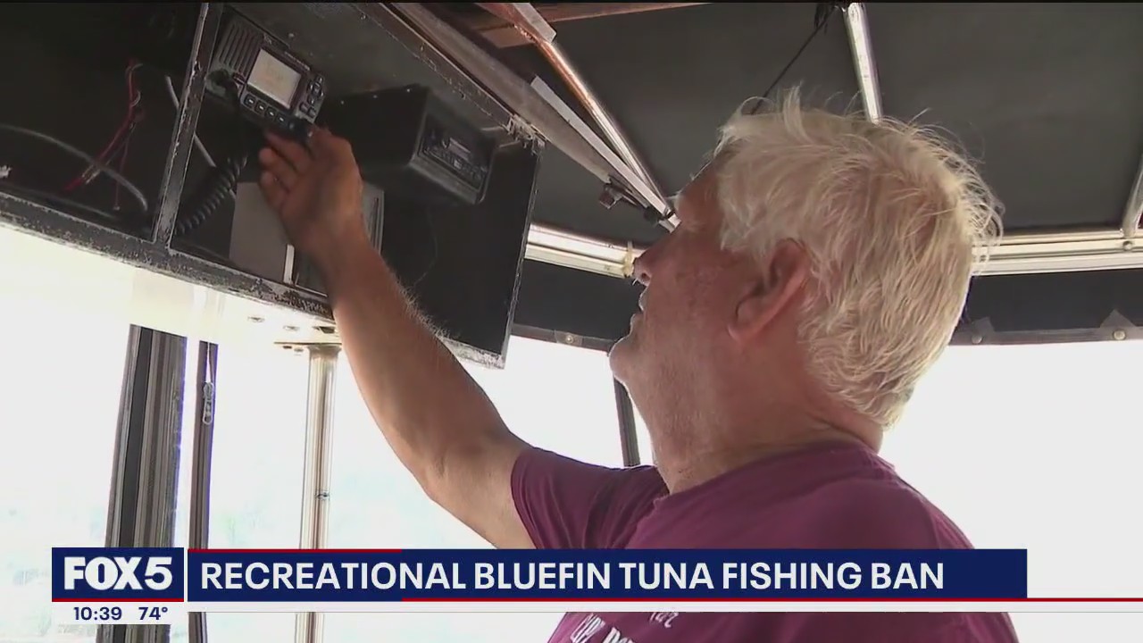 'Video thumbnail for Recreational bluefin tuna fishing banned for the rest of the year'