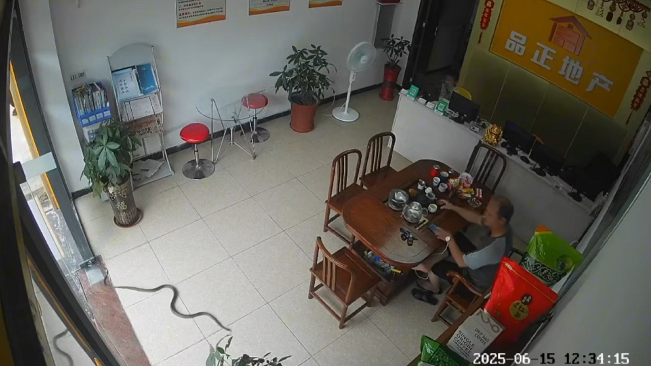 Video thumbnail for Snake surprises office worker in Guangzhou while he makes a drink