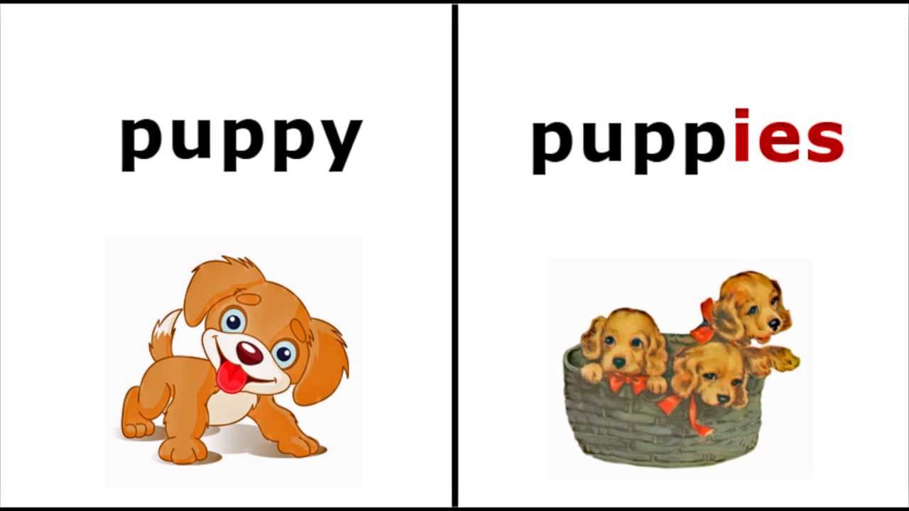 Video thumbnail for How to form the plural in English