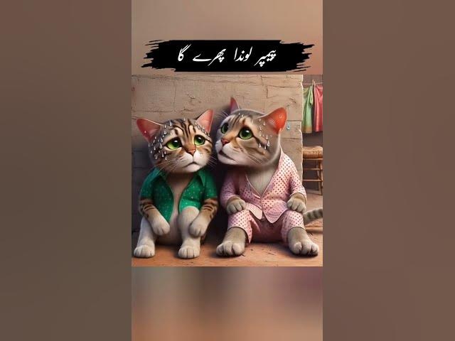 Video thumbnail for اس طرح کی پوسٹ trust + curiosity دونوں پیدا کرے گی۔کیا آپ چاہتے ہیں میں اس کا ایک