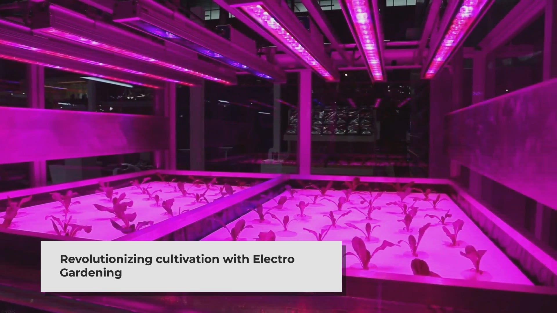Video thumbnail for Electro Gardening: Revolutionizing the Way We Grow Plants