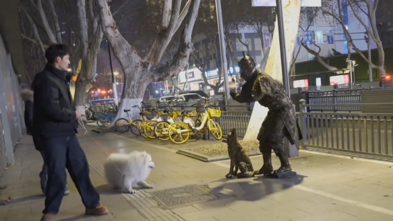 Video thumbnail for Samoyed's Hilarious Surprise from Living Statue in China