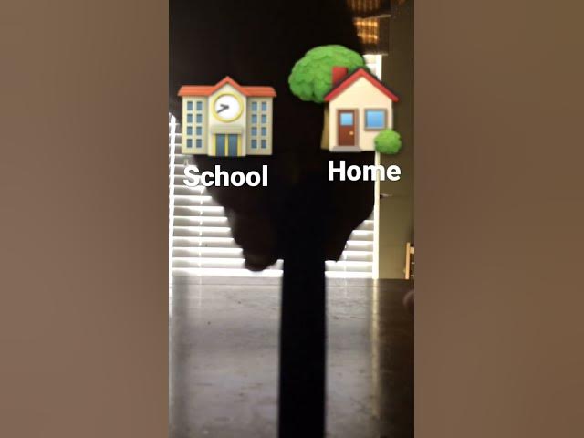 Video thumbnail for Never go home 🏡☹️