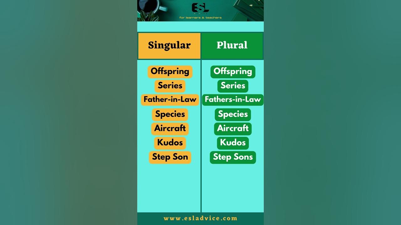 'Video thumbnail for Singular VS Plural Nouns || Part 5 || ESL Advice'