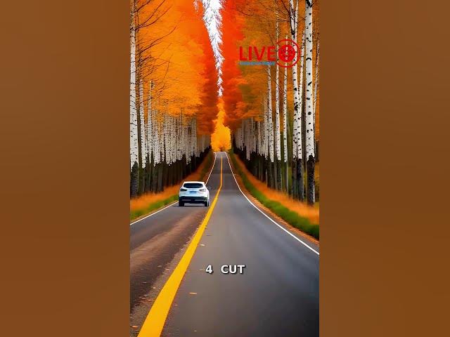 Video thumbnail for Louisiana Drivers Rate Cut Savings Are Here