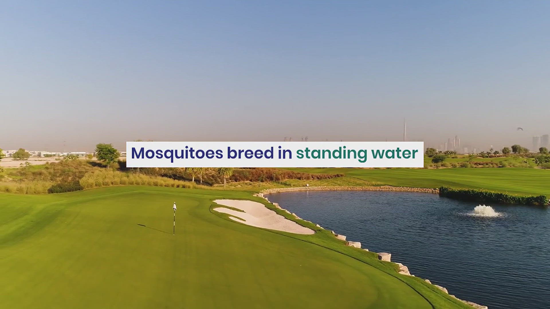 'Video thumbnail for Mosquito Repellent for Yard'