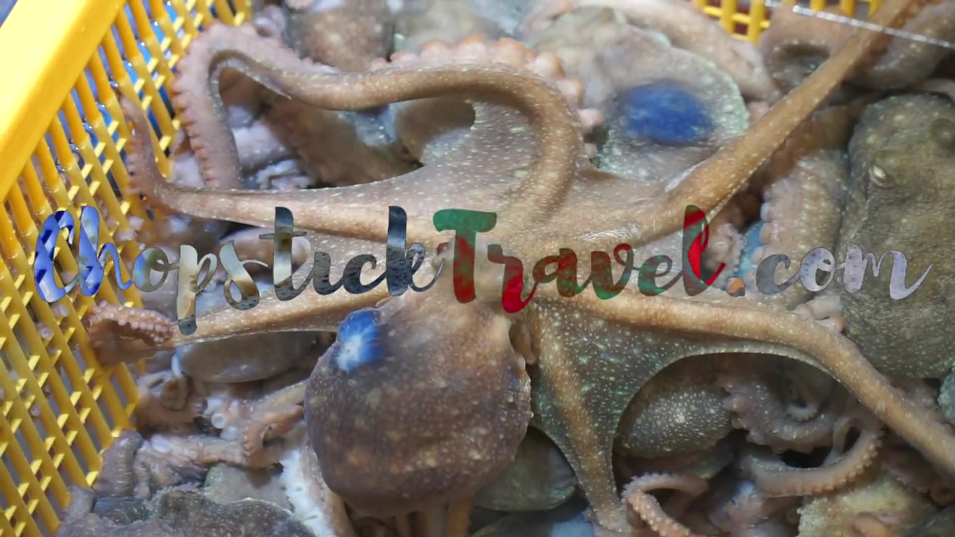 'Video thumbnail for EXTRA SPICY Korean Street Food Tour in Busan, Korea | STREET FOOD in KOREA + SEAFOOD Market Tour'