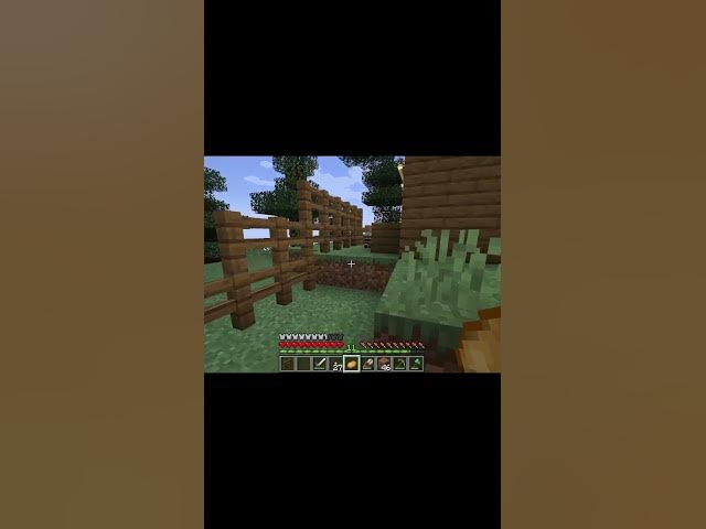 Video thumbnail for Silly Little Villagers Part 2 #shorts #youtubrshorts #minecraft #minecraftshorts #silly