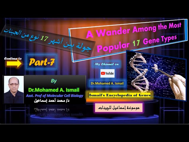 Video thumbnail for موسوعة أنواع الچينات الحلقة السابعة    Encyclopedia of Gene Types - Part 7