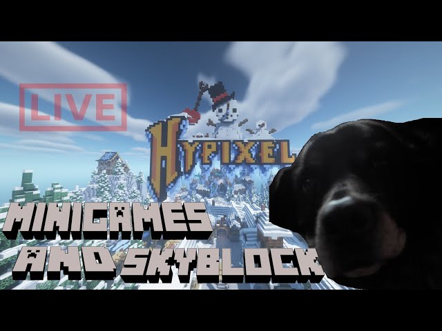 Video thumbnail for Minigames & Skyblock | Minecraft Hypixel