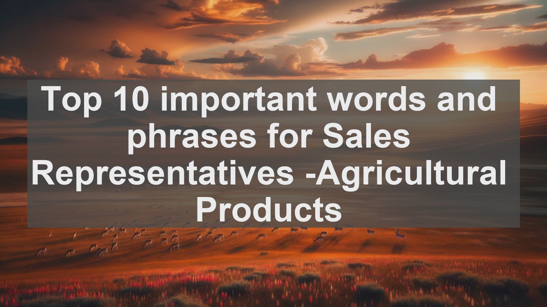 'Video thumbnail for Top 10 important words and phrases for Sales Representatives Agricultural Products'
