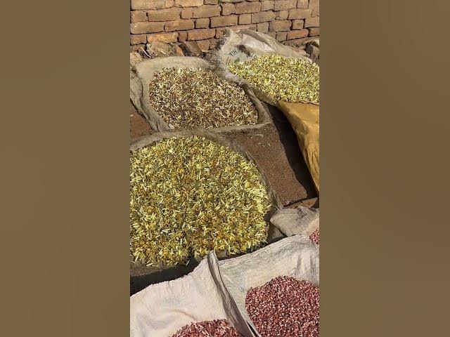 Video thumbnail for 29 November 2025